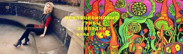 бошки Аркадак