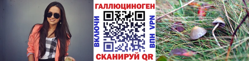 Купить где  Новоузенск  Псилоцибиновые грибы MAGIC MUSHROOMS 