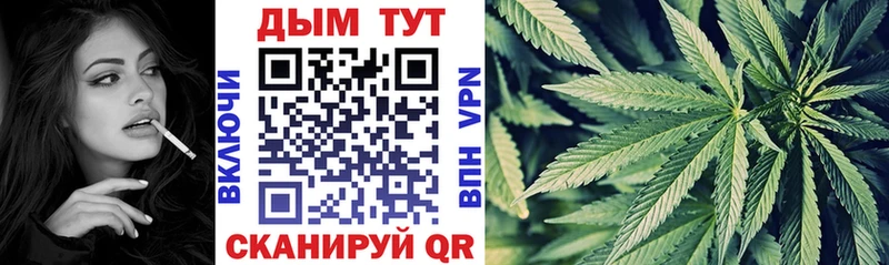 Купить закладки  Новоузенск  Канабис конопля 